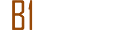 B1Bricks_white_logo_hq